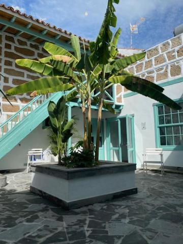 Hacienda De Las Indias, Cali Granadilla De Abona Exterior photo