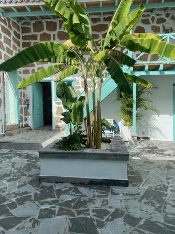 Hacienda De Las Indias, Cali Granadilla De Abona Exterior photo